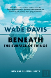 Beneath The Surface Of Things
