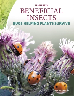 Bertrand.pt - Beneficial Insects