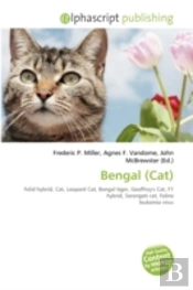Bengal  Cat