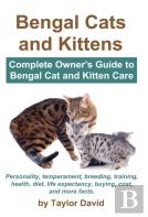 Bengal Cats And Kittens