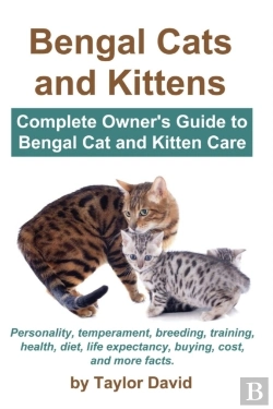 Bertrand.pt - Bengal Cats And Kittens