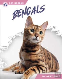 Bertrand.pt - Bengals