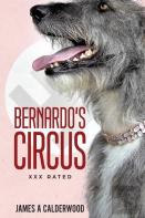 Bernado'S Circus
