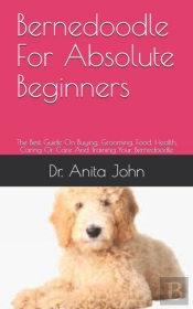 Bernedoodle  For Absolute Beginners