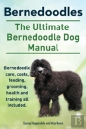 Bernedoodles. The Ultimate Bernedoodle D