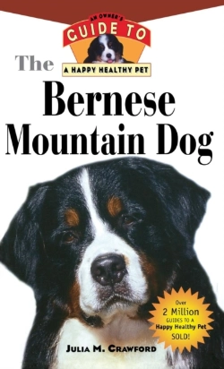 Bertrand.pt - Bernese Mountain Dog
