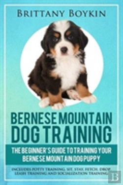 Bertrand.pt - Bernese Mountain Dog Training