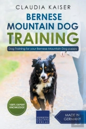 Bernese Mountain Dog Training: Dog Train