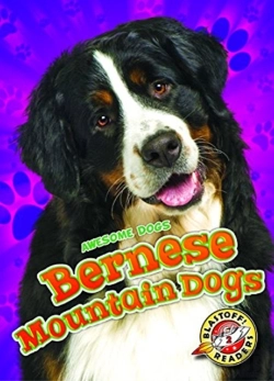 Bertrand.pt - Bernese Mountain Dogs