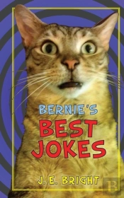 Bernie'S Best Jokes