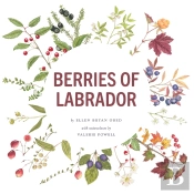 Berries Of Labrador