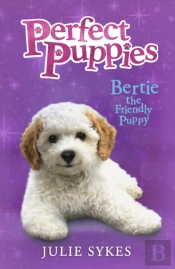 Bertie The Friendly Puppy