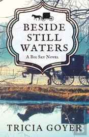 Beside Still Waters: A Big Sky Novel