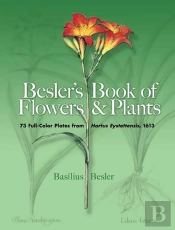 Besler'S Book Of Flowers And Plants