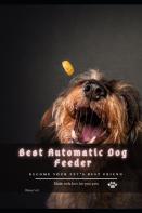 Best Automatic Dog Feeder