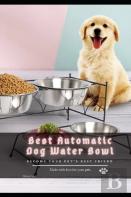 Best Automatic Dog Water Bowl
