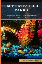 Best Betta Fish Tanks