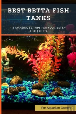 Bertrand.pt - Best Betta Fish Tanks