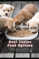 Best Canine Food Options