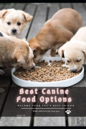 Best Canine Food Options