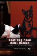 Best Dog Food Bowl Holder