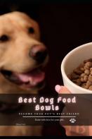 Best Dog Food Bowls