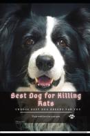 Best Dog For Killing Rats