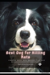 Best Dog For Killing Rats