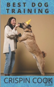 Best Dog Training