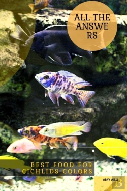 Bertrand.pt - Best Food For Cichlids Colors