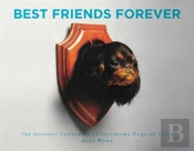 Best Friend Forever