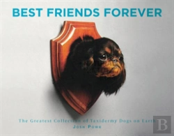 Bertrand.pt - Best Friend Forever