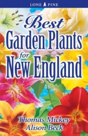 Best Garden Plants For New England