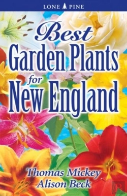 Bertrand.pt - Best Garden Plants For New England