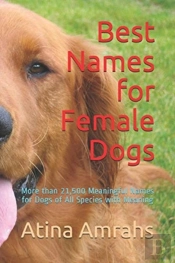 Best Names For Female Dogs