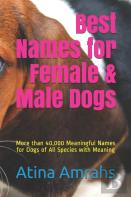 Best Names For Female & Male Dogs