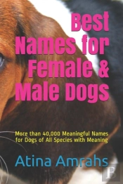 Best Names For Female & Male Dogs