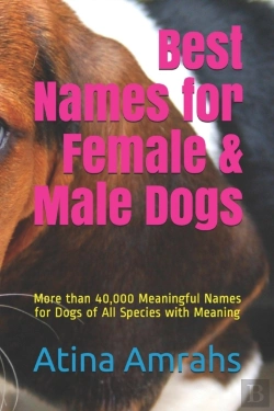 Bertrand.pt - Best Names For Female & Male Dogs