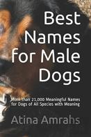 Best Names For Male Dogs
