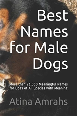 Bertrand.pt - Best Names For Male Dogs