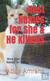 Best Names For She & He Kittens