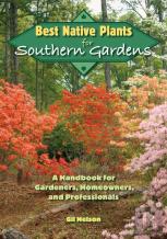 Best Native Plants For Southern Gardens