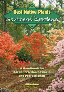 Bertrand.pt - Best Native Plants For Southern Gardens