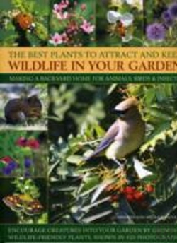 Bertrand.pt - Best Plants To Attract And Keep Wildlife In The Garden