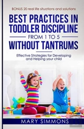 Best Practices In Toddler Discipline Fro
