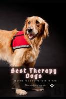 Best Therapy Dogs