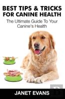 Best Tips & Tricks For Canine Health