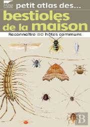 Bestioles De La Maison