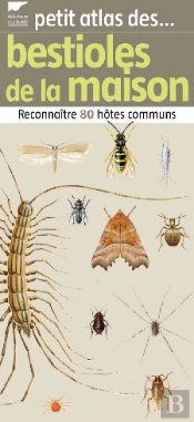 Bestioles De La Maison