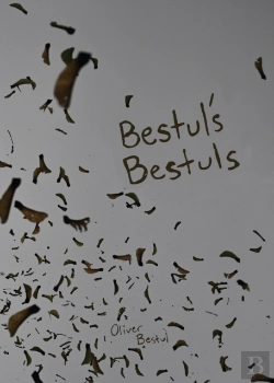 Bertrand.pt - Bestul'S Bestuls